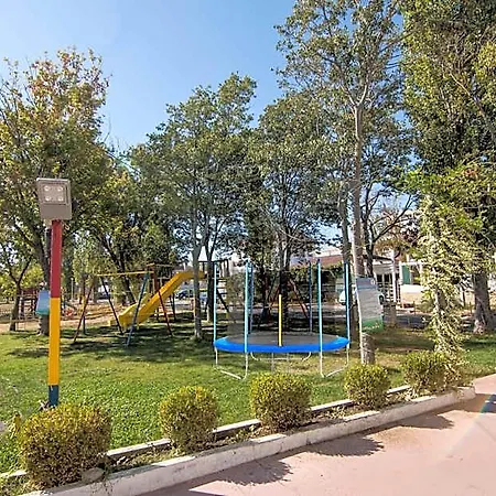 Merty Mamaia